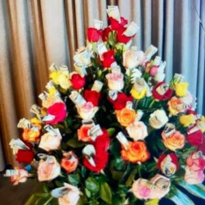 Meet your Posher, Janna